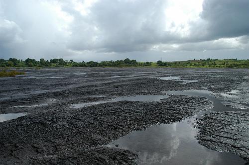 Pitch Lake